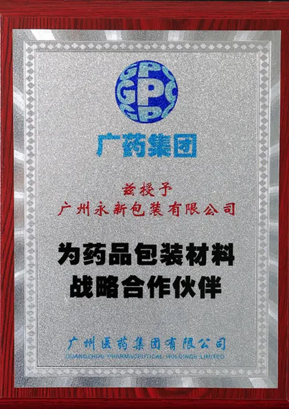 Guangzhou Pharmaceutical Holding Limited Strategic Partnership Award