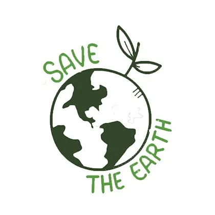 Sustainability Project 2020 of Novel Packaging